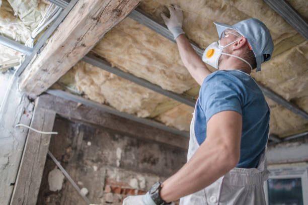 Best Insulation Installation Services in Cullowhee, NC