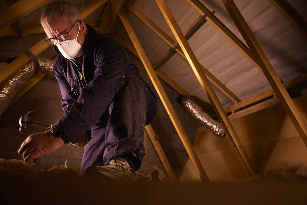 Best Insulation Maintenance and Repair in Cullowhee, NC